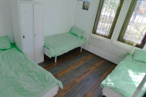 Hostel Belgrade Shungit Dragana Jeftića br 10